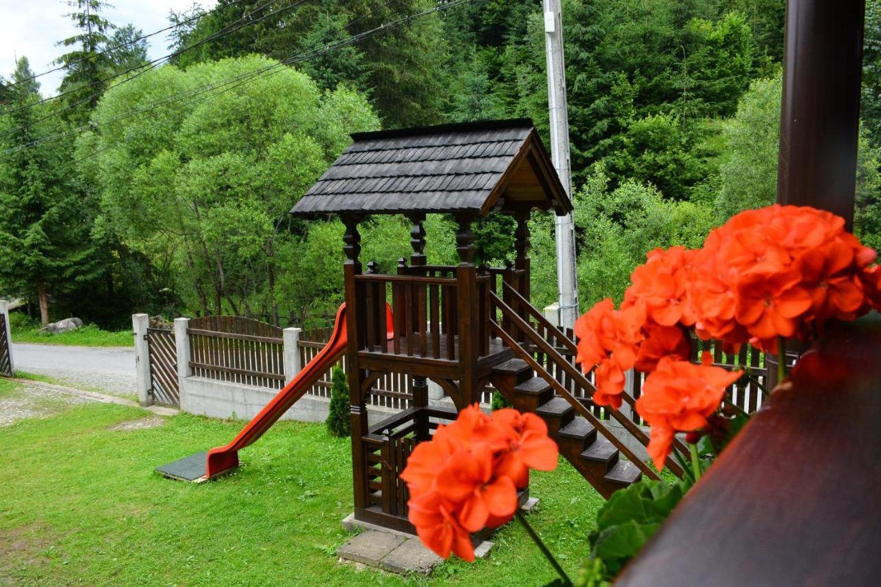 Borşa Cabana Cascada Cailor酒店 外观 照片