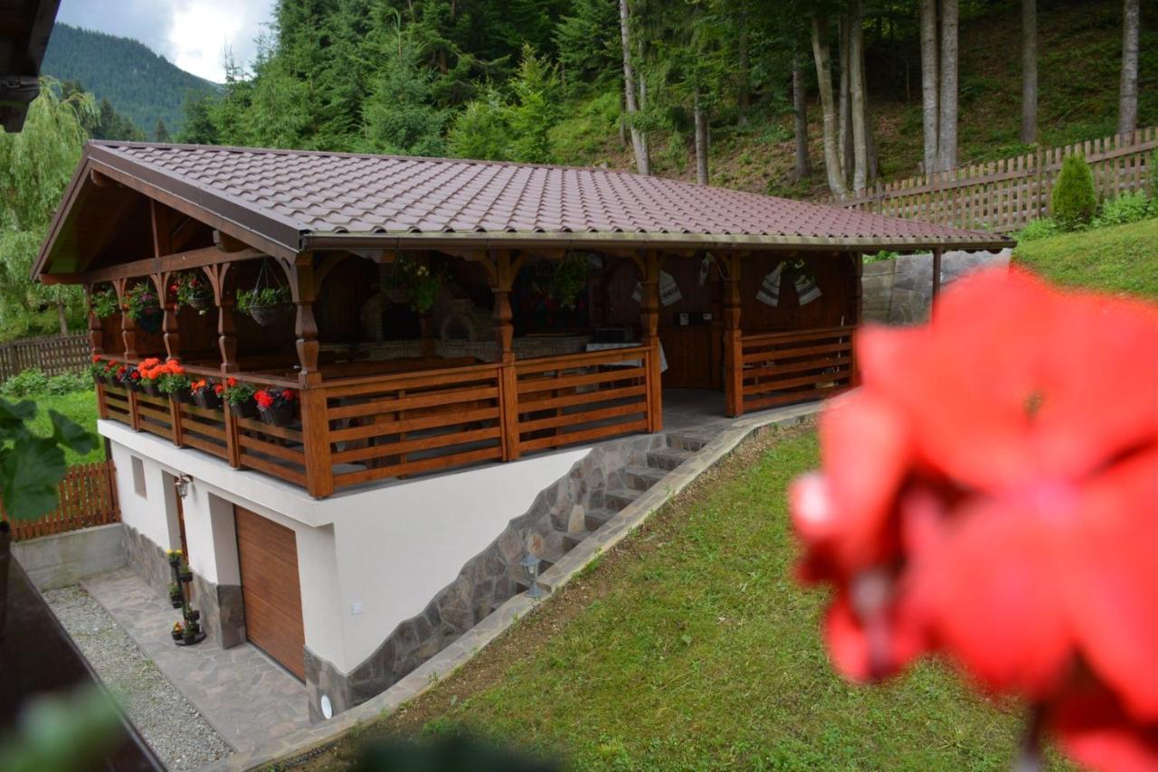 Borşa Cabana Cascada Cailor酒店 外观 照片