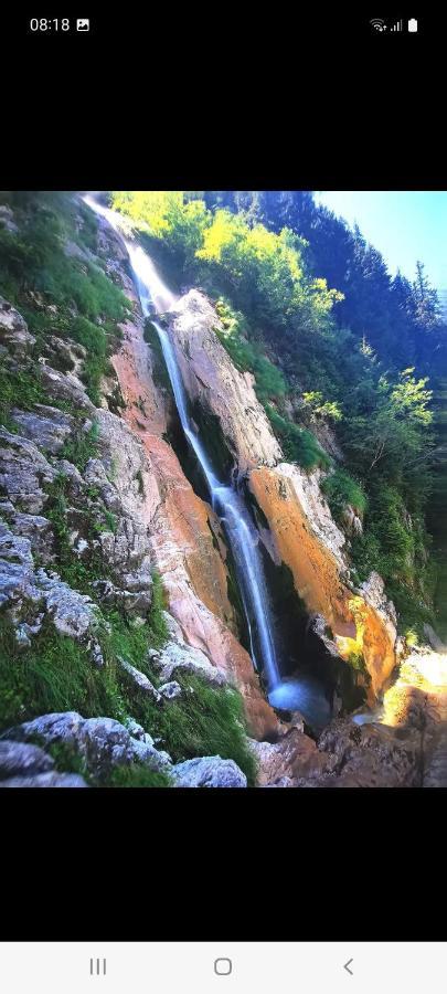 Borşa Cabana Cascada Cailor酒店 外观 照片